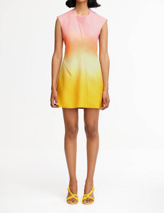 Acler - Warfield Mini Dress