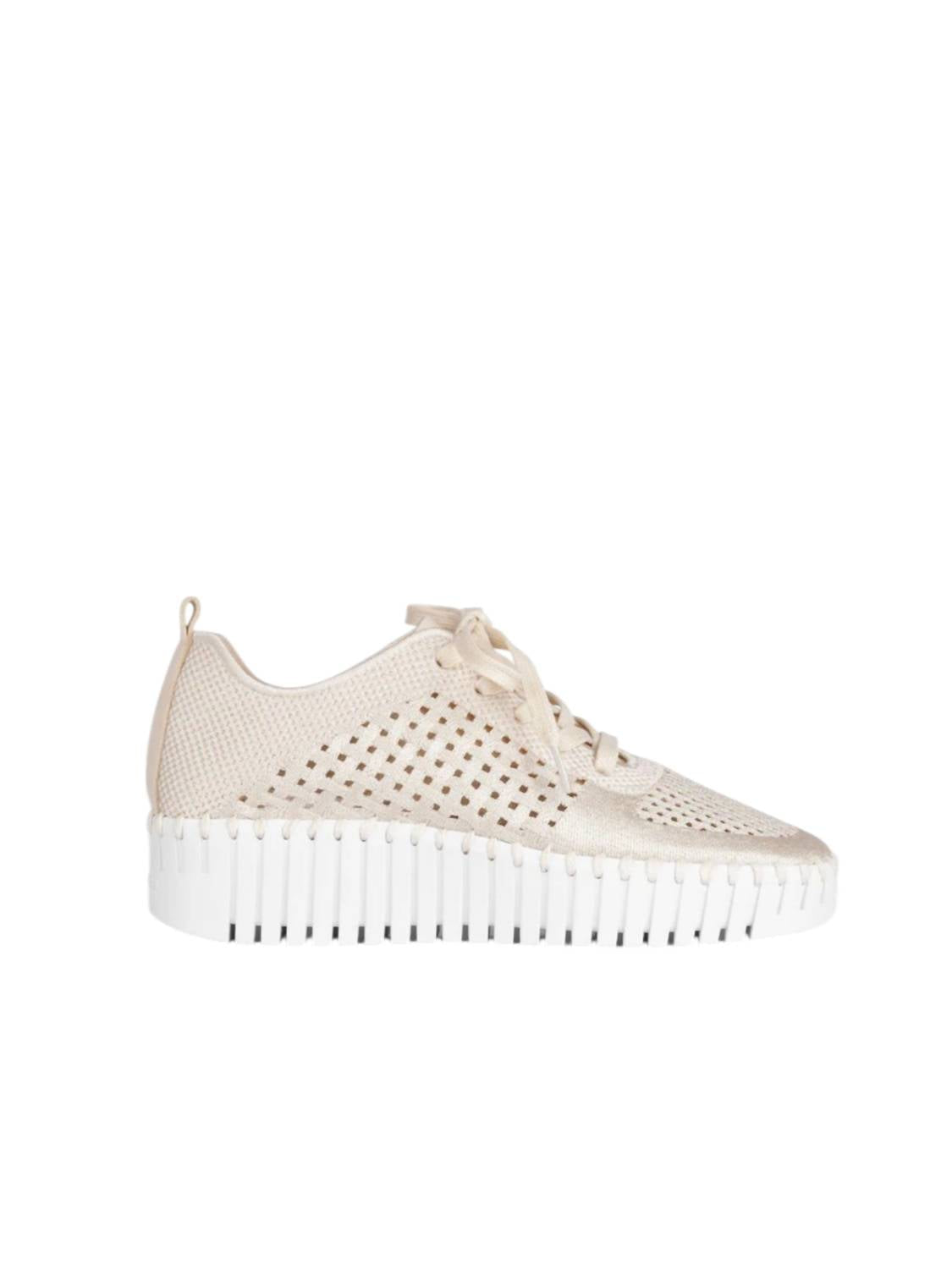 Ilse Jacobsen - Women's Tulip Platform Embroidered Tennis Shoe