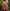free-people-billie-high-waist-bikini-bottom