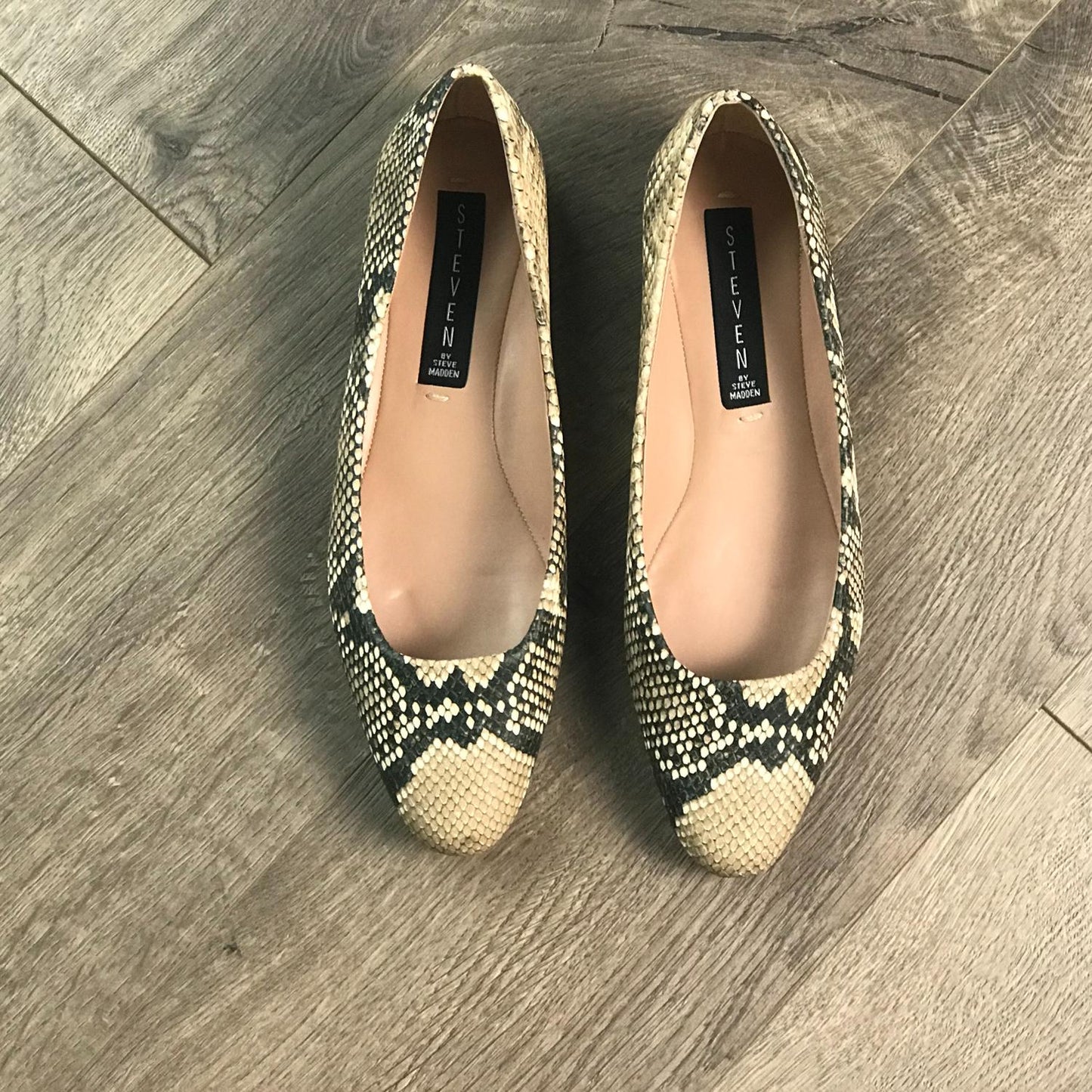 Steve Madden - Bantry Shoes