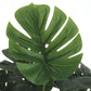 24" Tall Artificial Monstera Plant for Indoor Table Decor