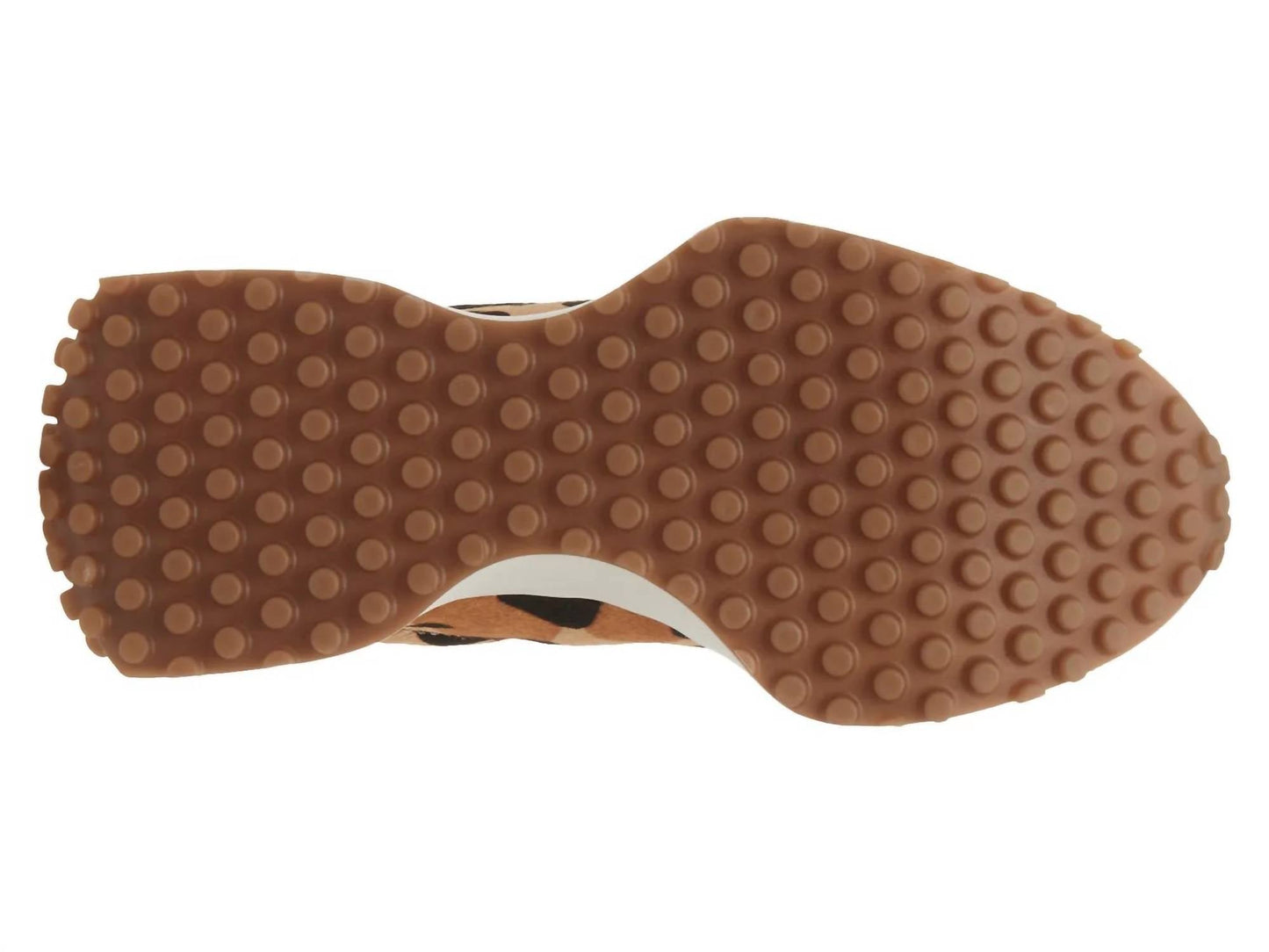 Steve Madden - Women's Campo Sneaker