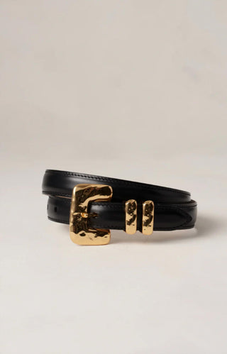 Dehanche - Tetra Belt