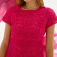 Joseph Ribkoff - Embroidered Mesh A-line Dress
