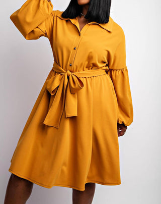 The Curve La - Plus Size Button Front Fit And Flare Dress With Pockets