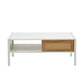Modern Rattan Coffee Table with Sliding Door