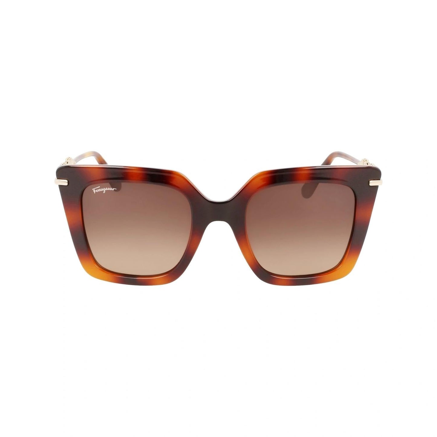 Salvatore Ferragamo - Women's SF1041S Sunglasses