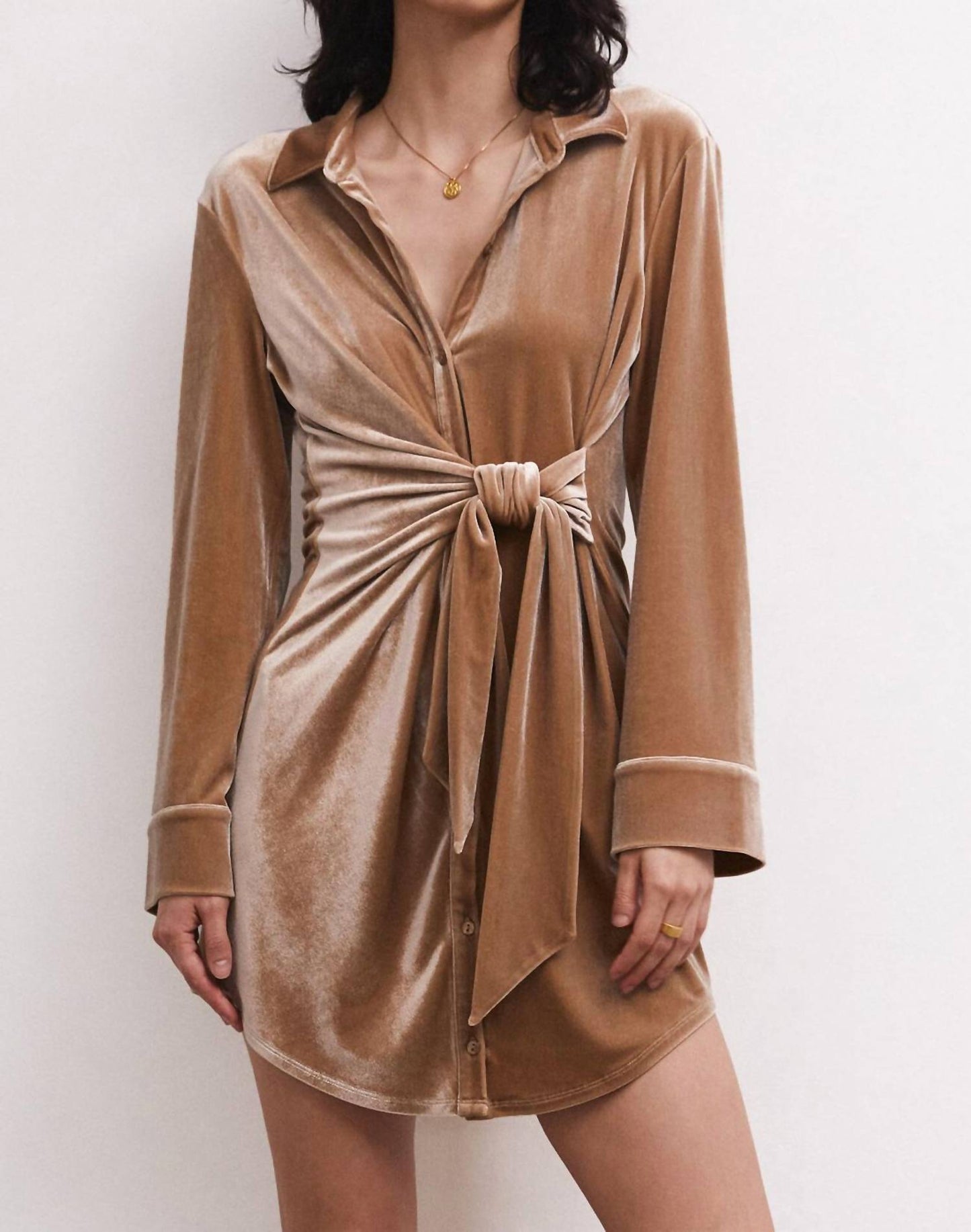 Z Supply - Dallon Velvet Wrap Dress