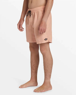 Billabong - All Day Overdyed Layback Surf Shorts