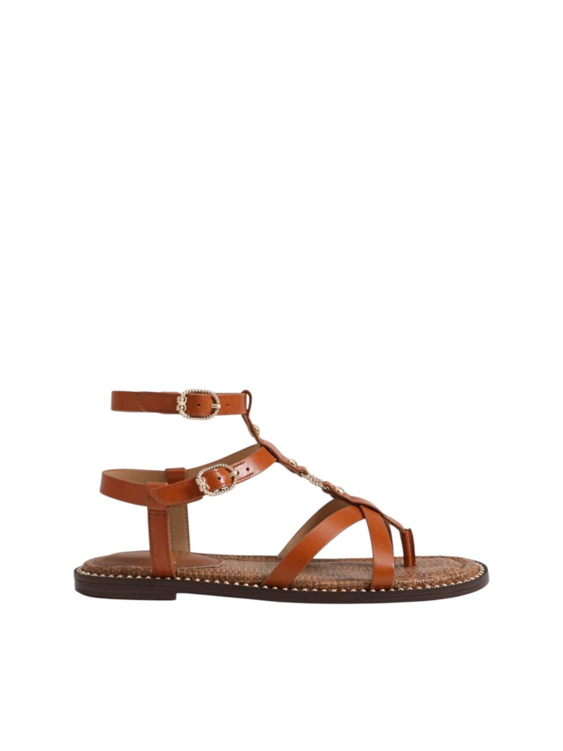 Sam Edelman - Women's Talya Gladiator Sandal