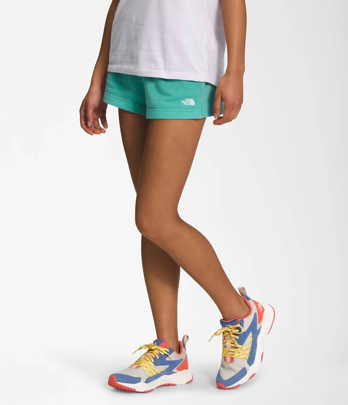 The North Face - Half Dome Logo 3'' Shorts