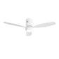Indoor/Outdoor Ceiling Fan with Reversible DC Motor, LED Light - White