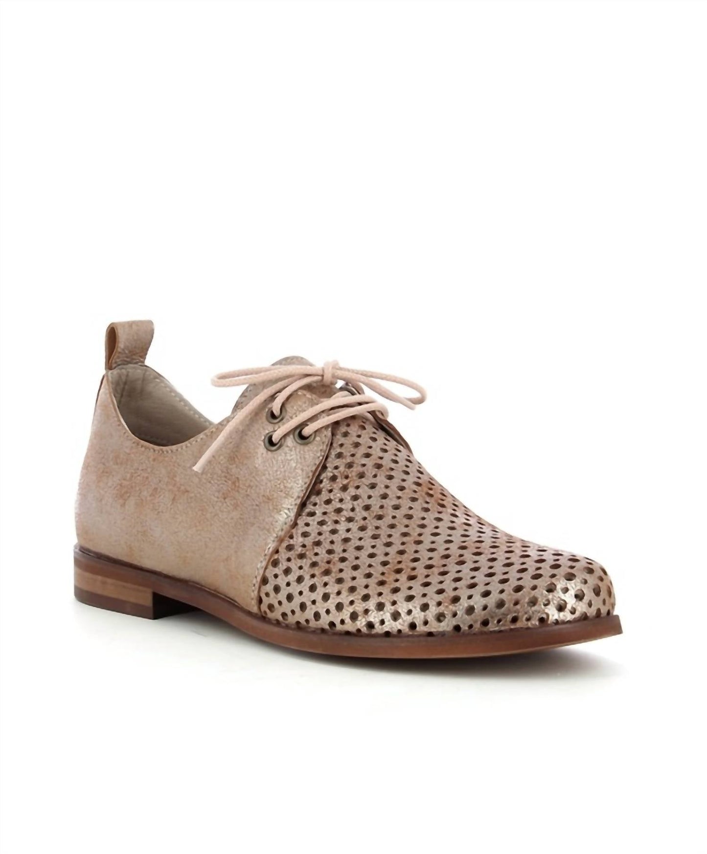 Casta - WOMEN'S FILMM SHOES