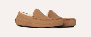 Ugg - Men Ascot Slipper