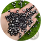 800 Piece Black Acrylic Alphabet and Number Bead Set