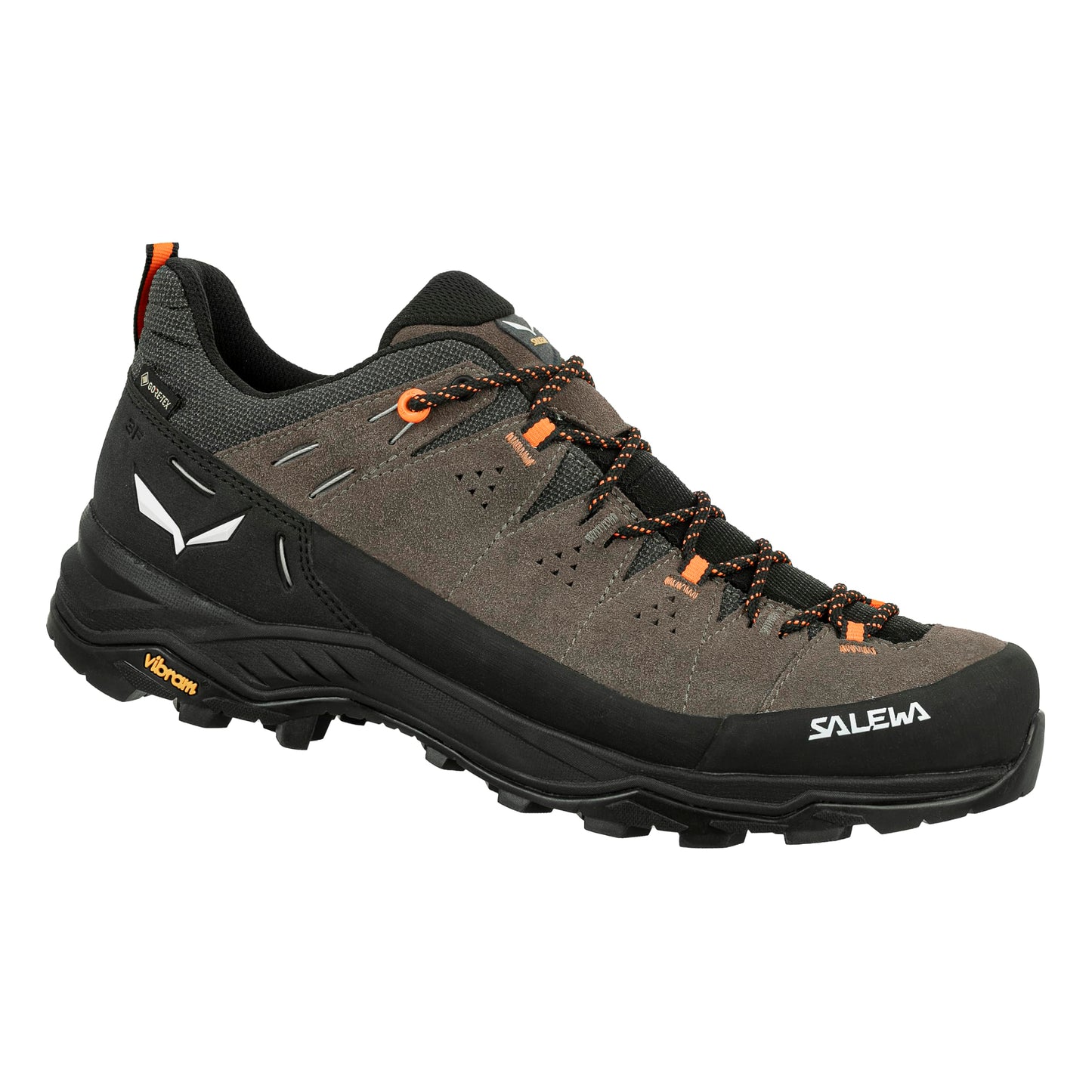 Salewa Mens Alp Trainer 2 GTX Waterproof Hiking Shoe