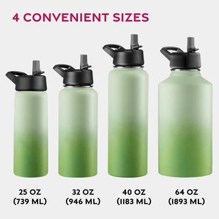 Insulated Sports Water Bottle with Straw