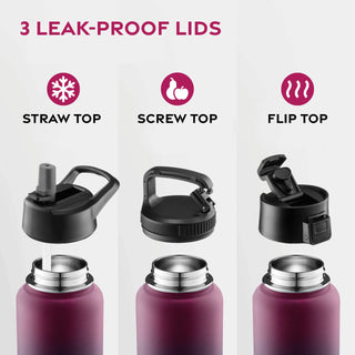 Insulated Sports Water Bottle with Straw