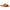 Free People - Women's Shipwreck Surf Sandals