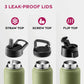 Insulated Sports Water Bottle with Straw