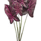 Burgandy caladium plant with roots accent (set of 2)