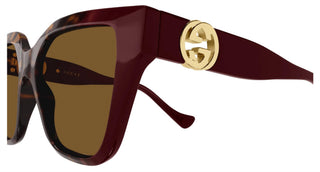 Gucci - Women's Square Injected Sunglass