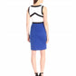 Calvin Klein - Sleeveless Fitted Sheath Neoprene Colorblock Scuba Dress