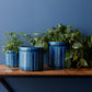Blue Etched Terra Cotta Pot Planter (Set of 3)