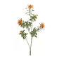 Orange Flocked Protea Spray (Set of 6)