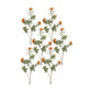 Orange Flocked Protea Spray (Set of 6)