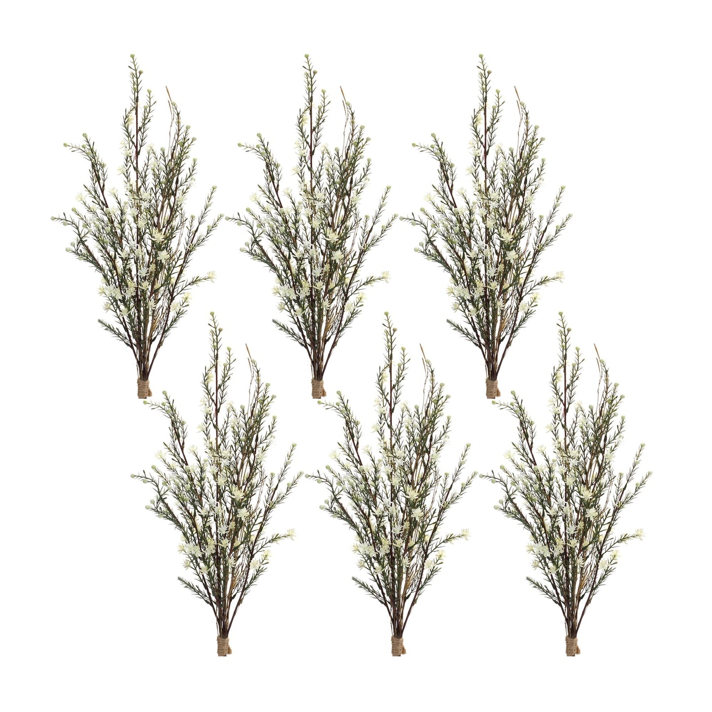 Leptospermum bundle (set of 6)