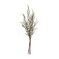 Leptospermum bundle (set of 6)