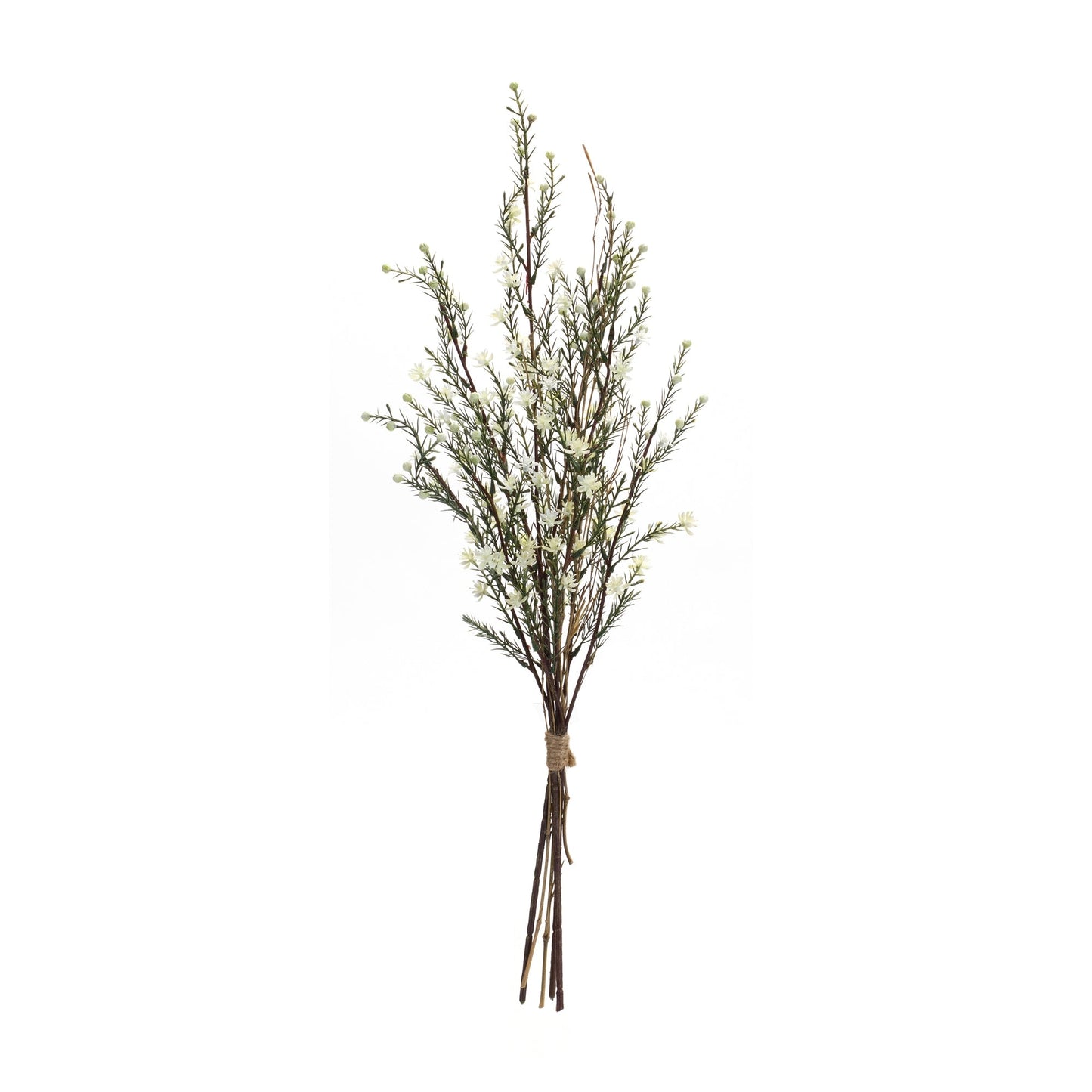 Leptospermum bundle (set of 6)