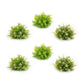 Mini leaf half orb (set of 6)