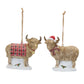 Highland Cow Ornament (Set of 6)