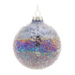 Irredescent Glass Ball Ornament (Set of 12)