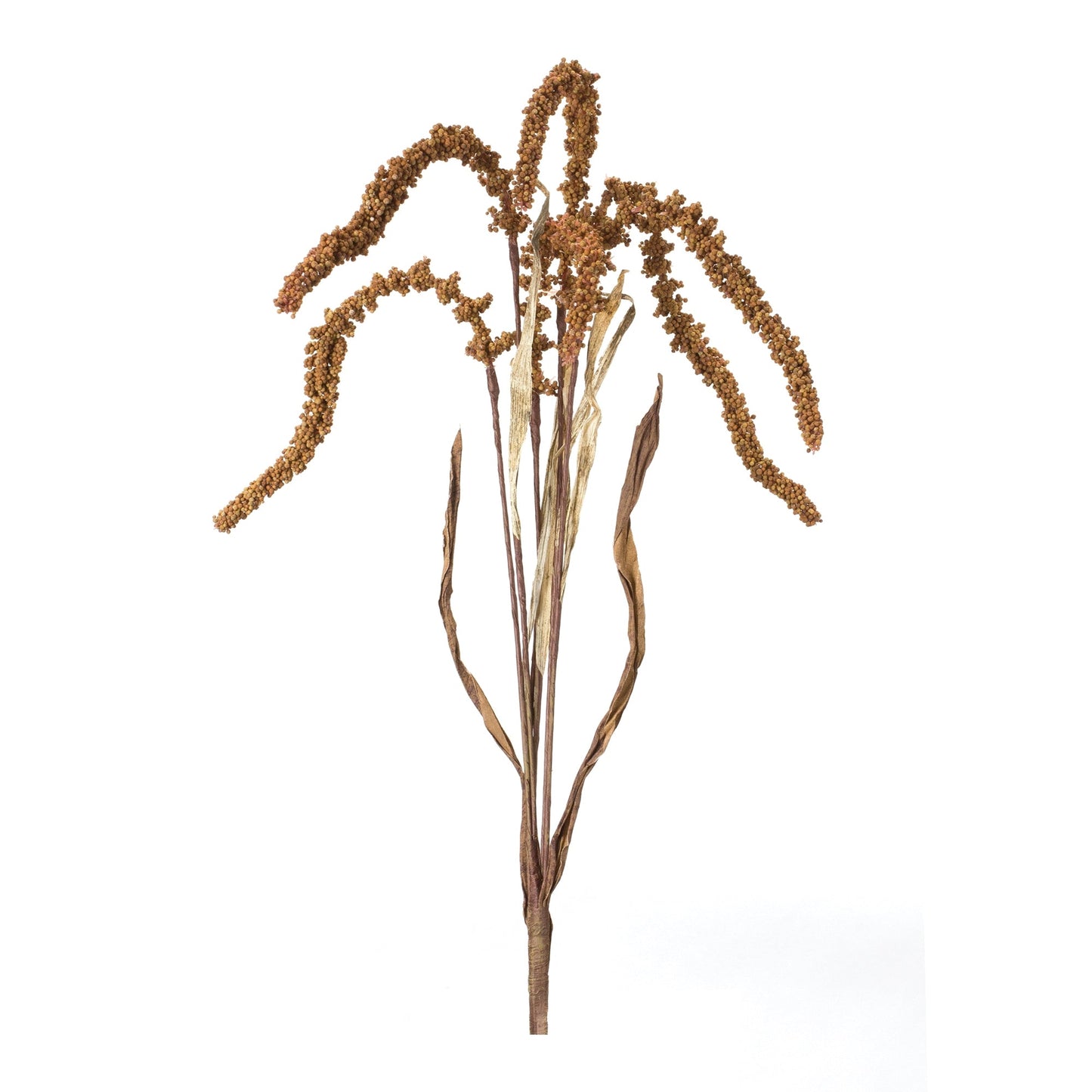 Amaranthus stem (set of 12)
