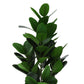 28" Tall Artificial Garcinia Tree in Black Pot
