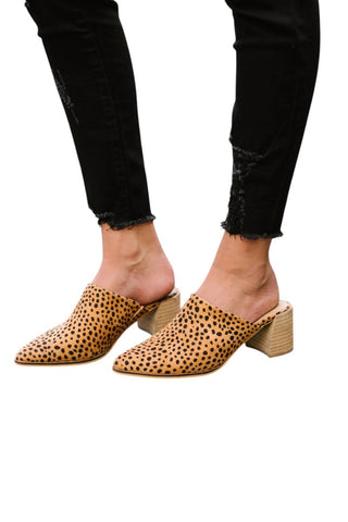 Ccocci - Women's Spotted Mules