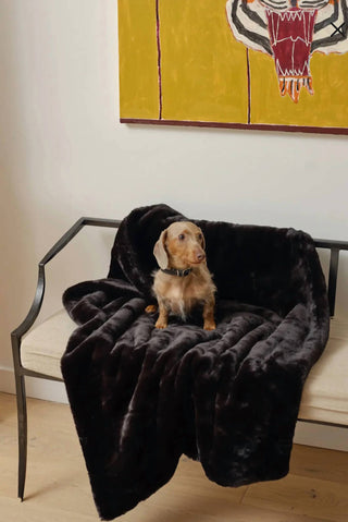 Apparis - Brady Blanket In Noir