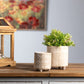 Footed Stone Planter (Set of 2)