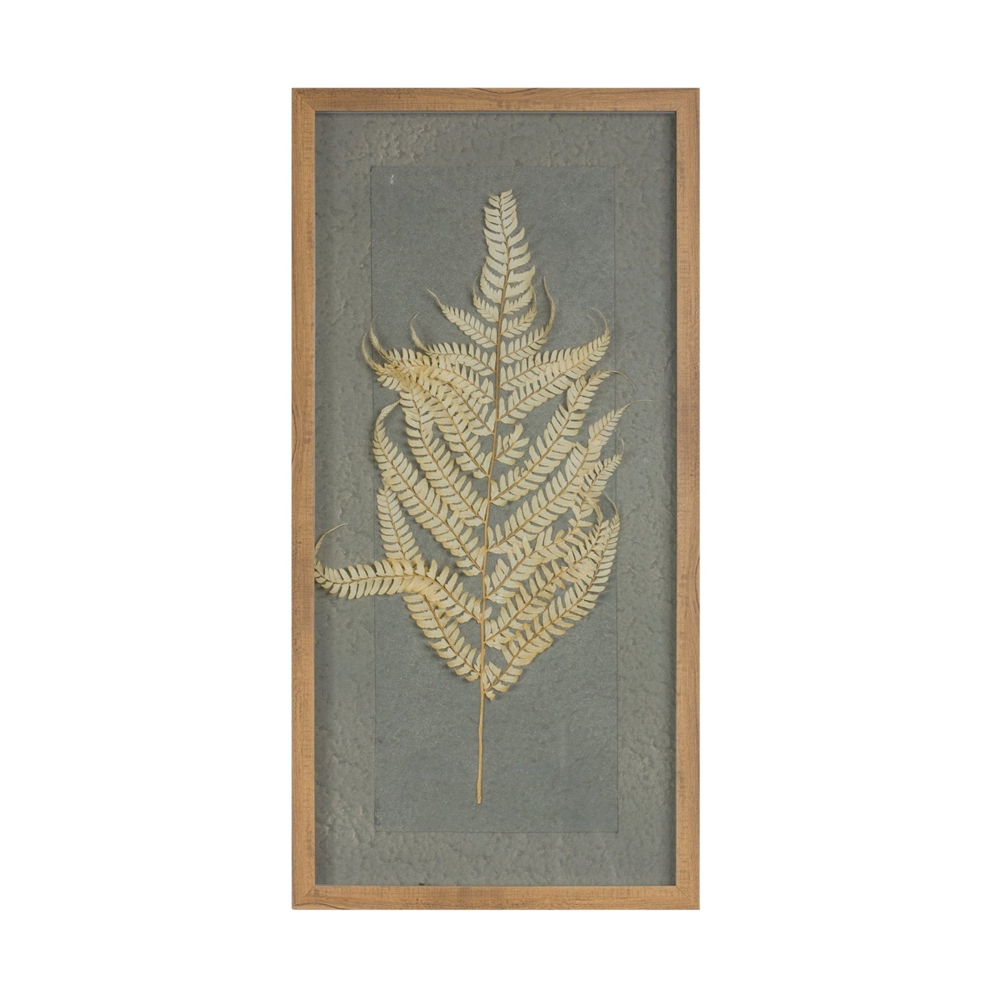 Dried Fern Frame Set of 2