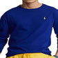 Polo Ralph Lauren Men's Classic Fit Polo Pony Jersey T-Shirt Blue Size XX-Large