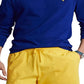 Polo Ralph Lauren Men's Classic Fit Polo Pony Jersey T-Shirt Blue Size XX-Large
