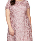 Alex Evenings Women's Rosette Lace Short Sleeve A Line Gown Pink Size 18W
