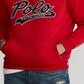 Polo Ralph Lauren Men's Double Knit Logo Hoodie Red Size Small