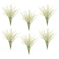 Foxtail Bundle (Set of 6)