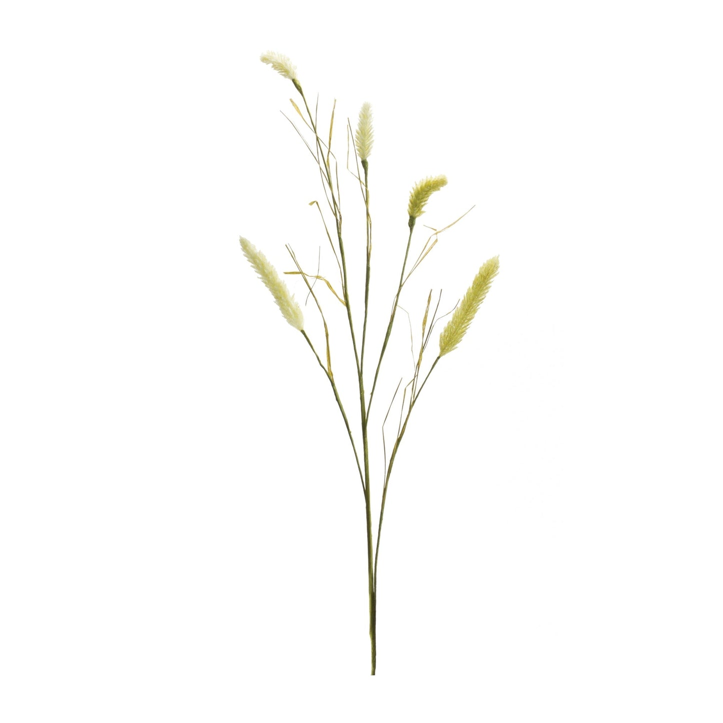 Foxtail Spray (Set of 6)