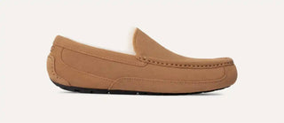 Ugg - Men Ascot Slipper