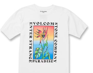 Volcom Men's Strange Paradise Short Sleeves T-Shirt White Size Medium